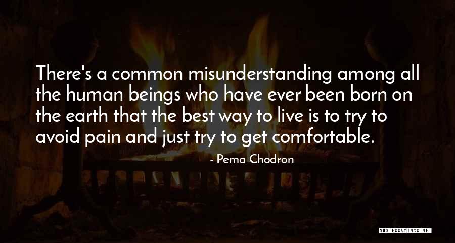 Dr Ambedkar Quotes By Pema Chodron Dr Ambedkar Quotes By Pema Chodron