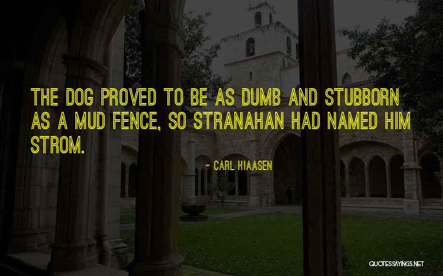 Dr Andrew Linzey Quotes By Carl Hiaasen Dr Andrew Linzey Quotes By Carl Hiaasen