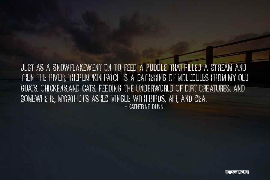 Dr. House Diagnosis Quotes By Katherine Dunn Dr. House Diagnosis Quotes By Katherine Dunn