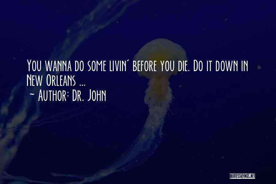 Dr. John Quotes 1040018