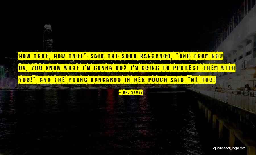 Dr Kangaroo Quotes By Dr. Seuss Dr Kangaroo Quotes By Dr. Seuss
