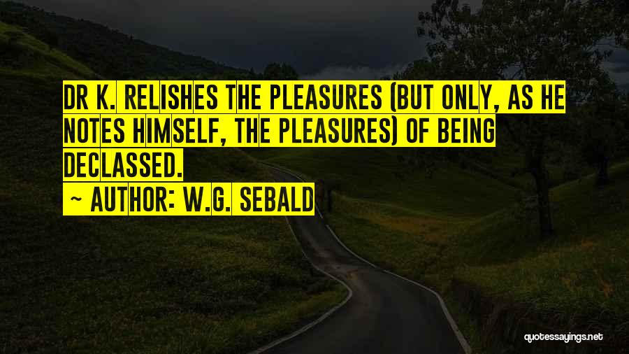 Dr.rajkumar Quotes By W.G. Sebald