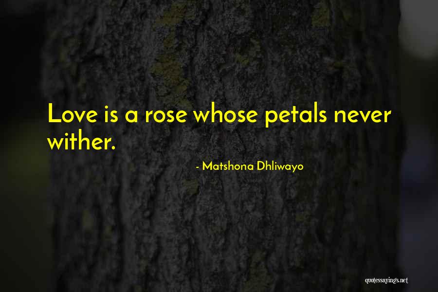 Dr Robert Lustig Quotes By Matshona Dhliwayo Dr Robert Lustig Quotes By Matshona Dhliwayo