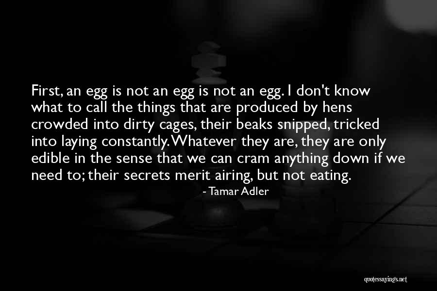 Dr Seuss Gertrude Mcfuzz Quotes By Tamar Adler Dr Seuss Gertrude Mcfuzz Quotes By Tamar Adler