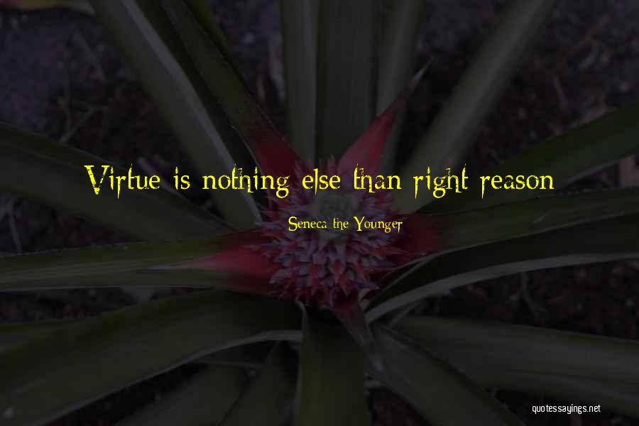 Dr Seuss Grad Quotes By Seneca The Younger Dr Seuss Grad Quotes By Seneca The Younger