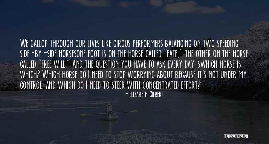 Dr Sheppard Quotes By Elizabeth Gilbert Dr Sheppard Quotes By Elizabeth Gilbert