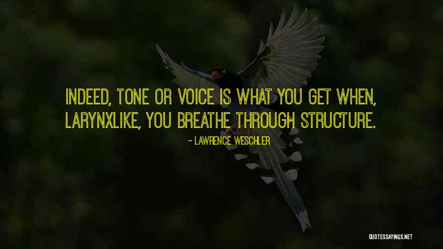 Dr Van Der Kolk Quotes By Lawrence Weschler Dr Van Der Kolk Quotes By Lawrence Weschler