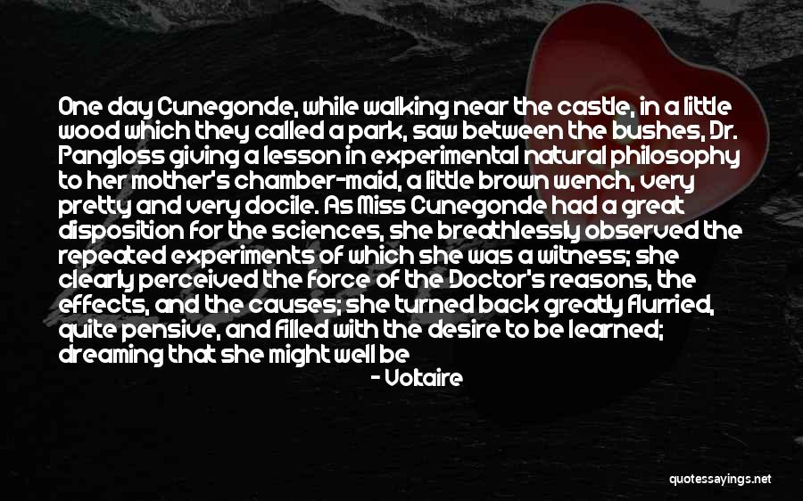 Dr Wood Quotes By Voltaire Dr Wood Quotes By Voltaire