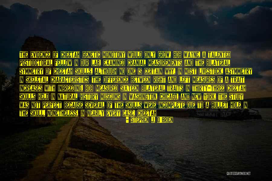 Dr York Quotes By Stephen J. O'Brien Dr York Quotes By Stephen J. O'Brien