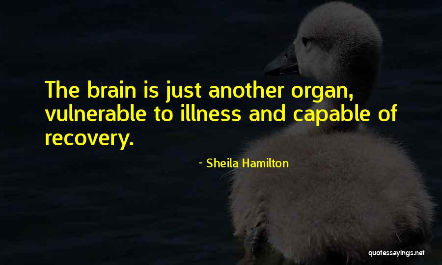Drabik Youtube Quotes By Sheila Hamilton Drabik Youtube Quotes By Sheila Hamilton