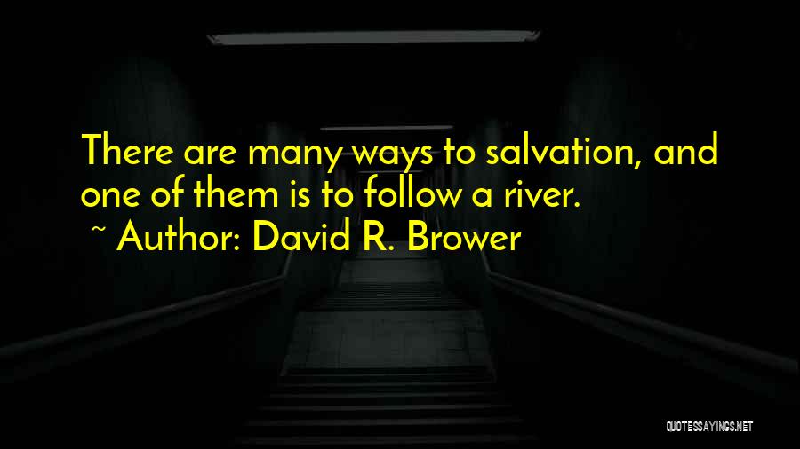 Draco Legislator Quotes By David R. Brower