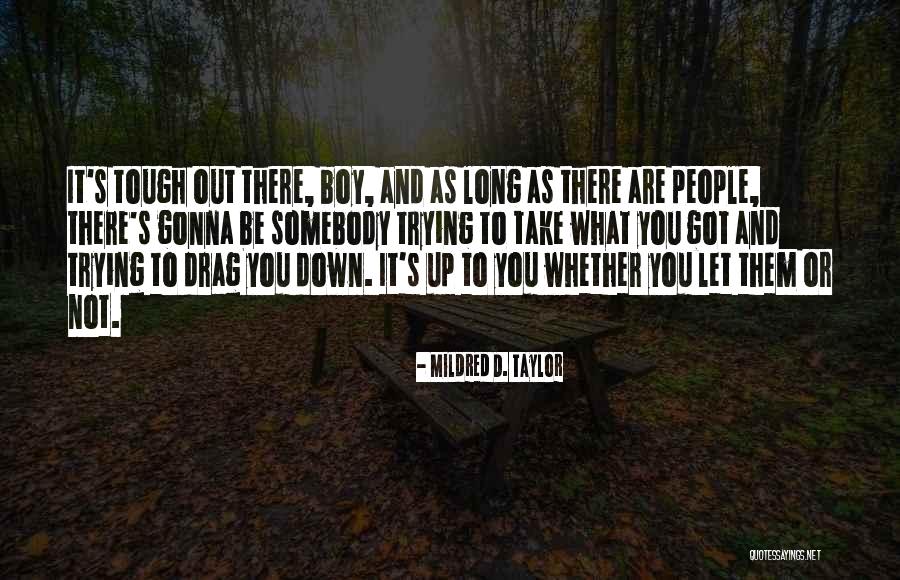 Drag U Down Quotes By Mildred D. Taylor Drag U Down Quotes By Mildred D. Taylor