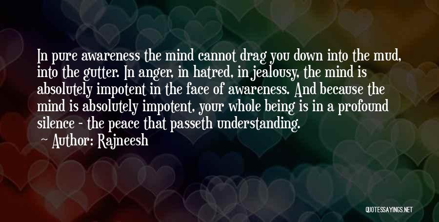 Drag You Down Quotes By Rajneesh