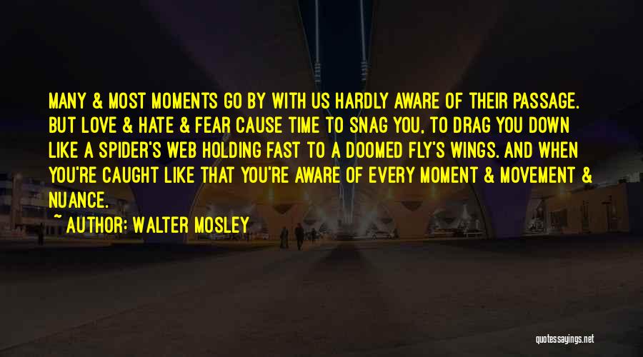 Drag You Down Quotes By Walter Mosley