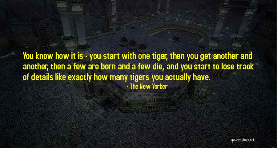 Dragger Brain Quotes By The New Yorker Dragger Brain Quotes By The New Yorker