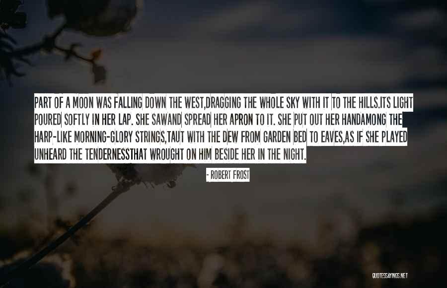 Dragging Me Down Quotes By Robert Frost