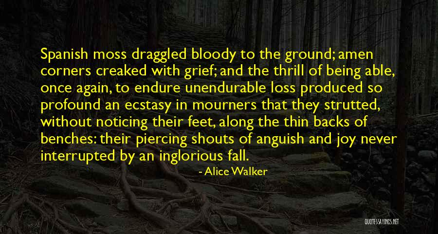 Draggled Quotes By Alice Walker Draggled Quotes By Alice Walker