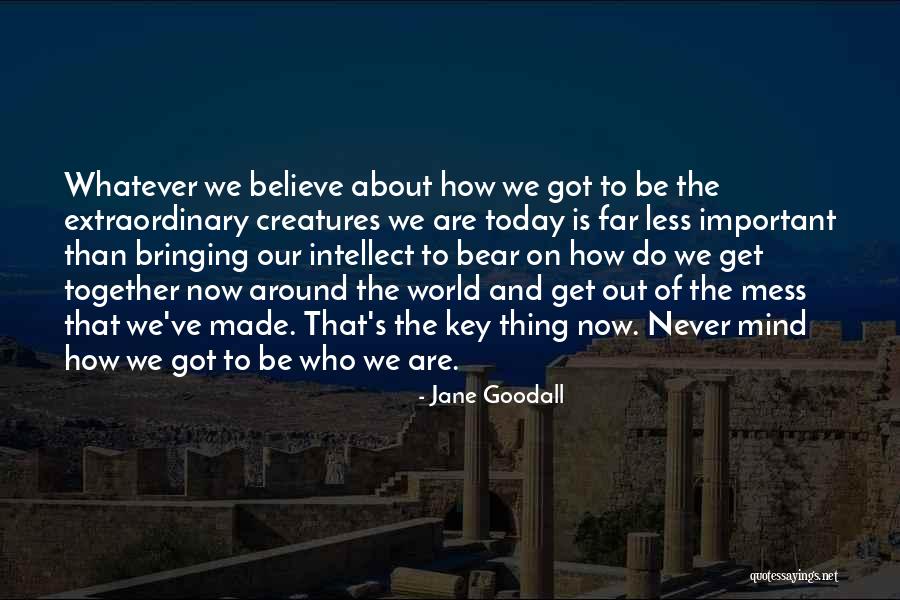 Draghici Catalina Quotes By Jane Goodall Draghici Catalina Quotes By Jane Goodall