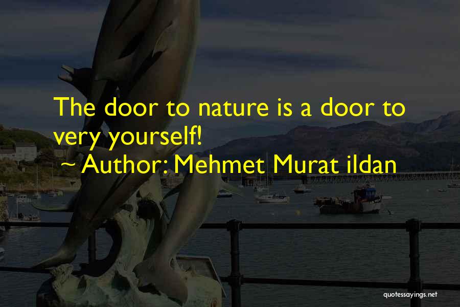 Dragicevic Doo Quotes By Mehmet Murat Ildan