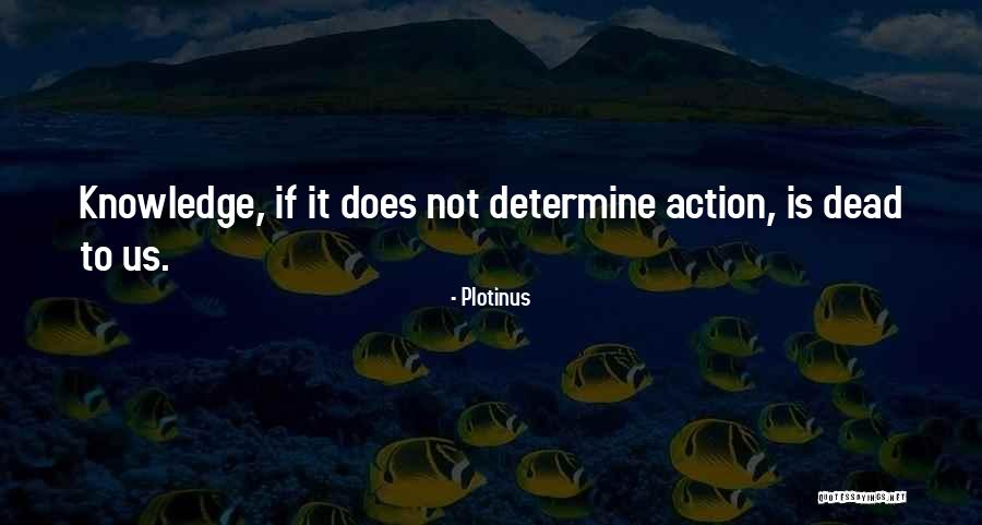 Dragicevic Transport Quotes By Plotinus Dragicevic Transport Quotes By Plotinus
