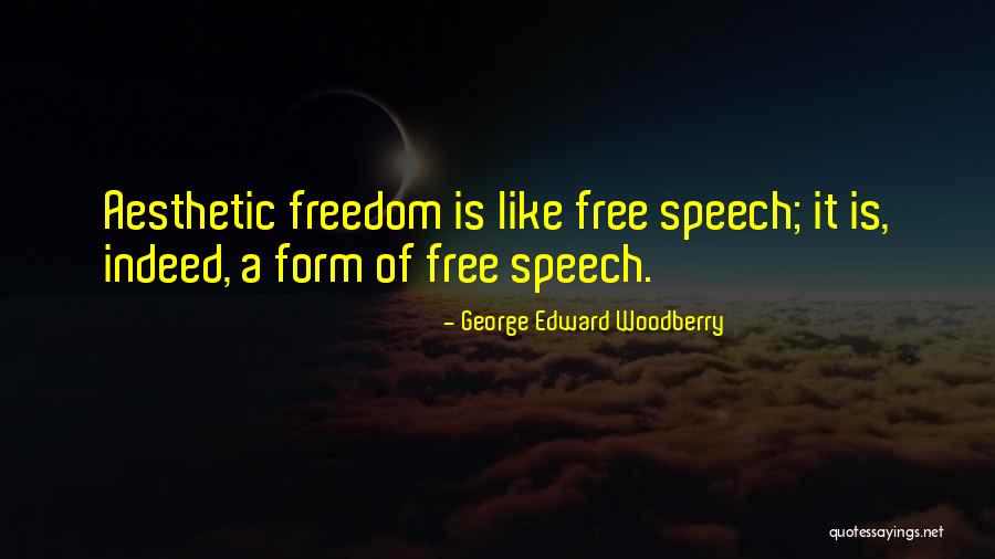 Dragisa Vasic Quotes By George Edward Woodberry Dragisa Vasic Quotes By George Edward Woodberry