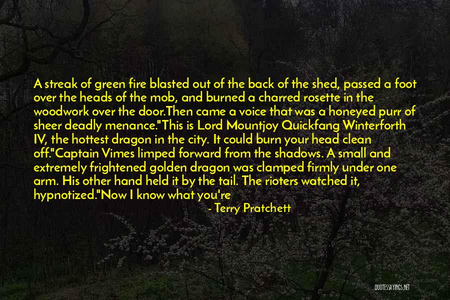 Dragon Blade Quotes By Terry Pratchett