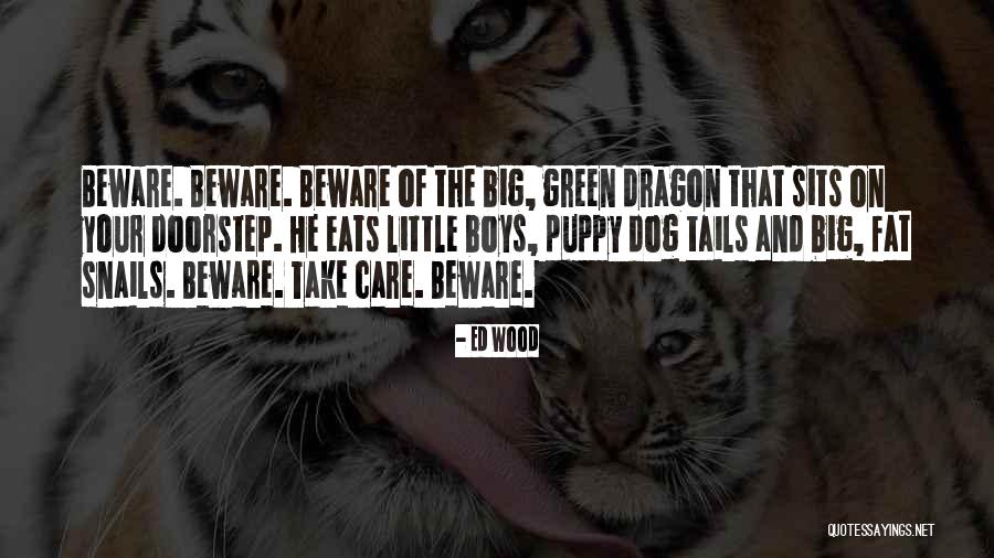 Dragon Boys 2 Quotes By Ed Wood Dragon Boys 2 Quotes By Ed Wood