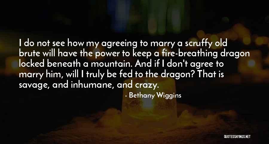 Dragon Fire Quotes By Bethany Wiggins