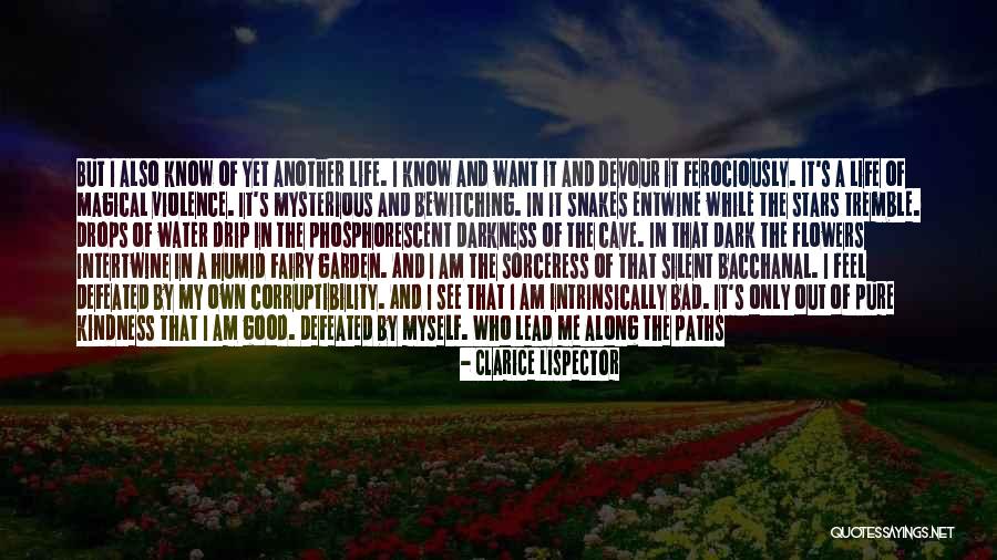 Dragon Fire Quotes By Clarice Lispector Dragon Fire Quotes By Clarice Lispector