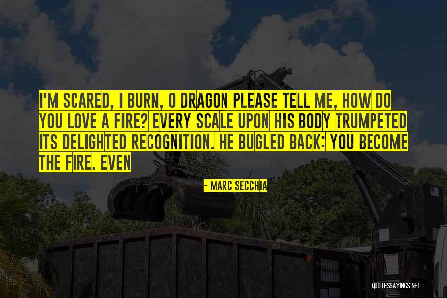 Dragon Fire Quotes By Marc Secchia Dragon Fire Quotes By Marc Secchia