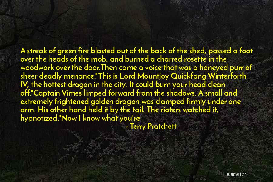 Dragon Fire Quotes By Terry Pratchett Dragon Fire Quotes By Terry Pratchett