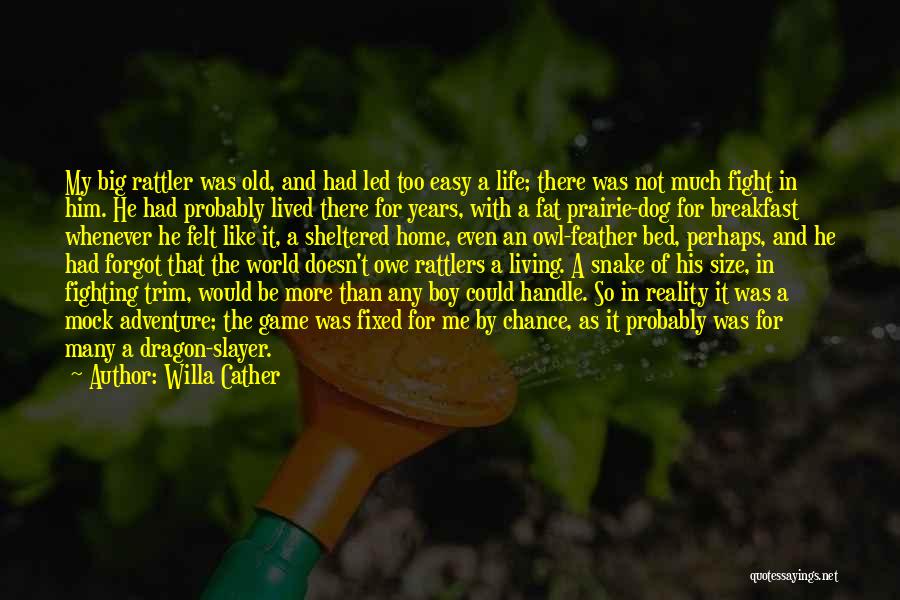 Dragon Slayer Quotes By Willa Cather