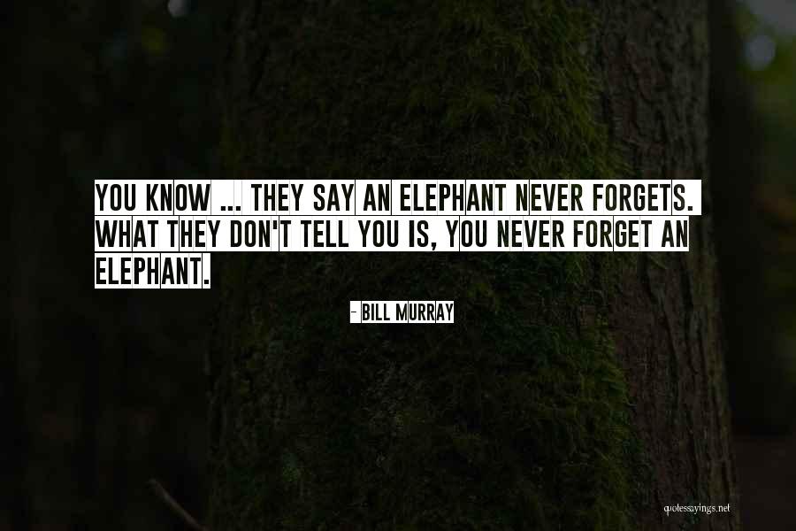 Dragonets Of Destiny Quotes By Bill Murray Dragonets Of Destiny Quotes By Bill Murray