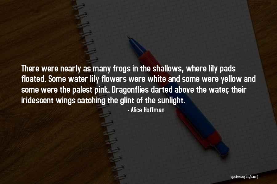 Dragonflies Quotes By Alice Hoffman Dragonflies Quotes By Alice Hoffman