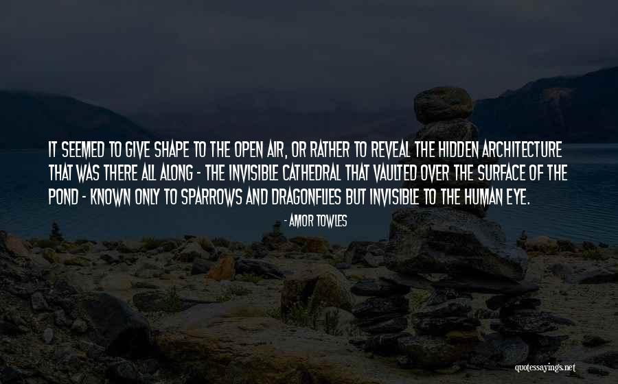 Dragonflies Quotes By Amor Towles Dragonflies Quotes By Amor Towles
