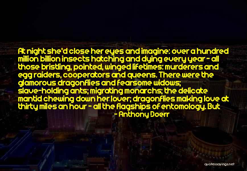 Dragonflies Quotes By Anthony Doerr Dragonflies Quotes By Anthony Doerr