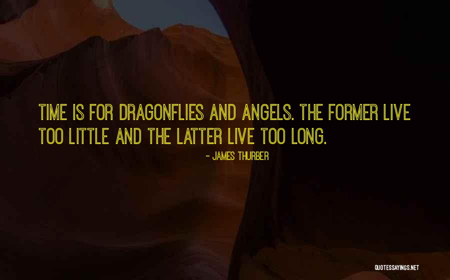 Dragonflies Quotes By James Thurber Dragonflies Quotes By James Thurber