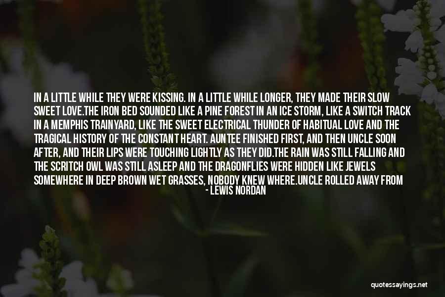 Dragonflies Quotes By Lewis Nordan Dragonflies Quotes By Lewis Nordan