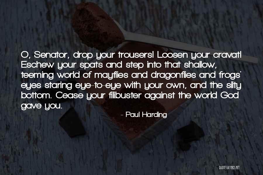 Dragonflies Quotes By Paul Harding Dragonflies Quotes By Paul Harding
