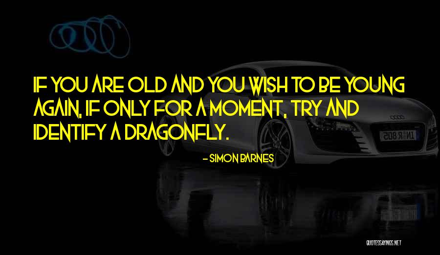Dragonflies Quotes By Simon Barnes Dragonflies Quotes By Simon Barnes