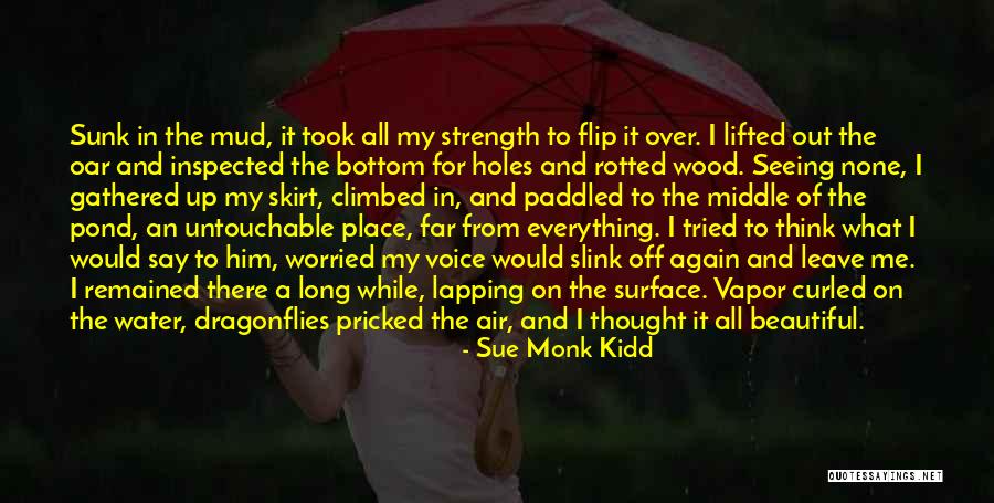 Dragonflies Quotes By Sue Monk Kidd Dragonflies Quotes By Sue Monk Kidd