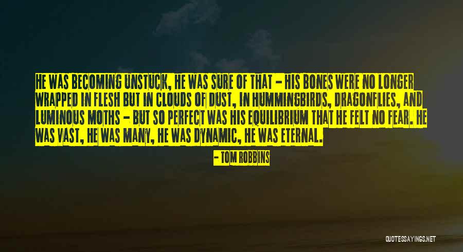 Dragonflies Quotes By Tom Robbins Dragonflies Quotes By Tom Robbins