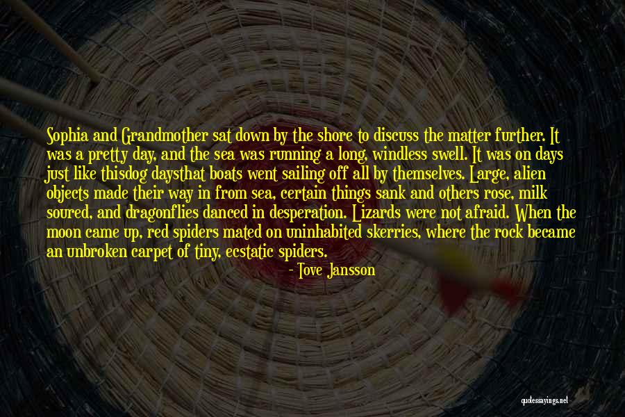 Dragonflies Quotes By Tove Jansson Dragonflies Quotes By Tove Jansson
