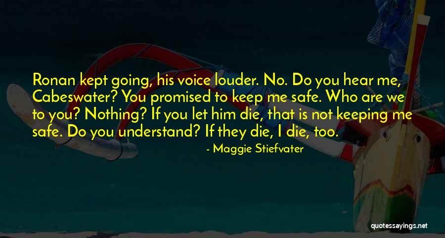 Dragonfly Birthday Quotes By Maggie Stiefvater Dragonfly Birthday Quotes By Maggie Stiefvater