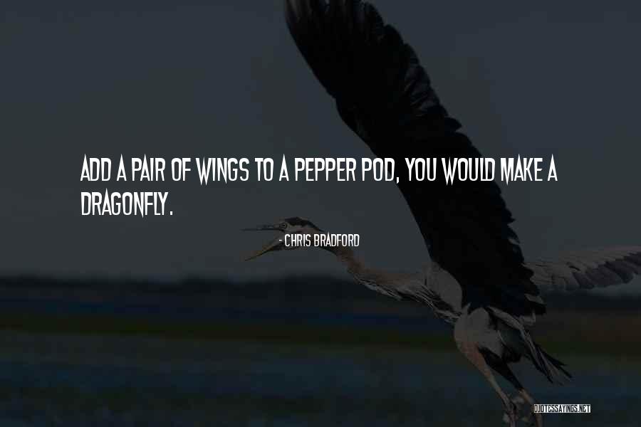 Dragonfly Quotes By Chris Bradford Dragonfly Quotes By Chris Bradford