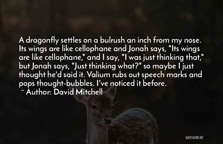 Dragonfly Quotes By David Mitchell