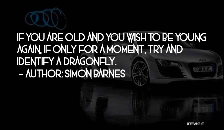 Dragonfly Quotes By Simon Barnes