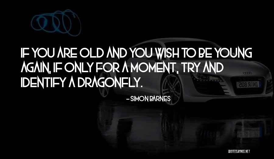 Dragonfly Quotes By Simon Barnes