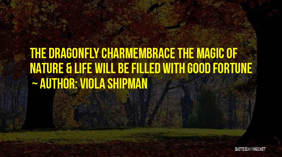 Dragonfly Quotes By Viola Shipman
