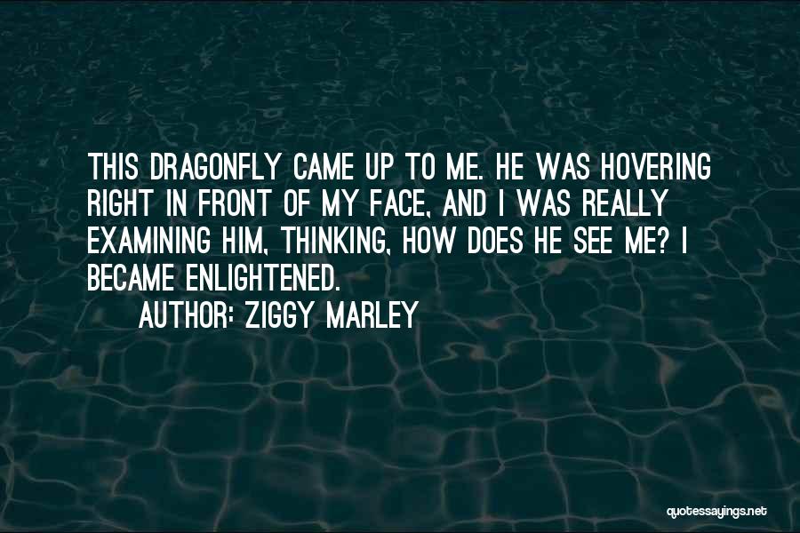 Dragonfly Quotes By Ziggy Marley
